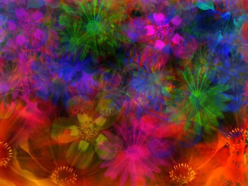 Colorful Flower Patterns — Purple
