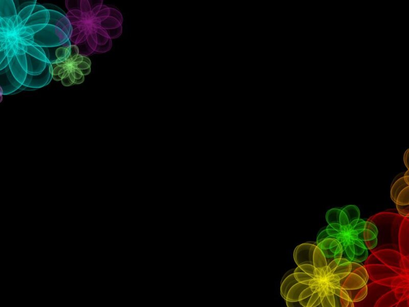 Colorful Flower Patterns