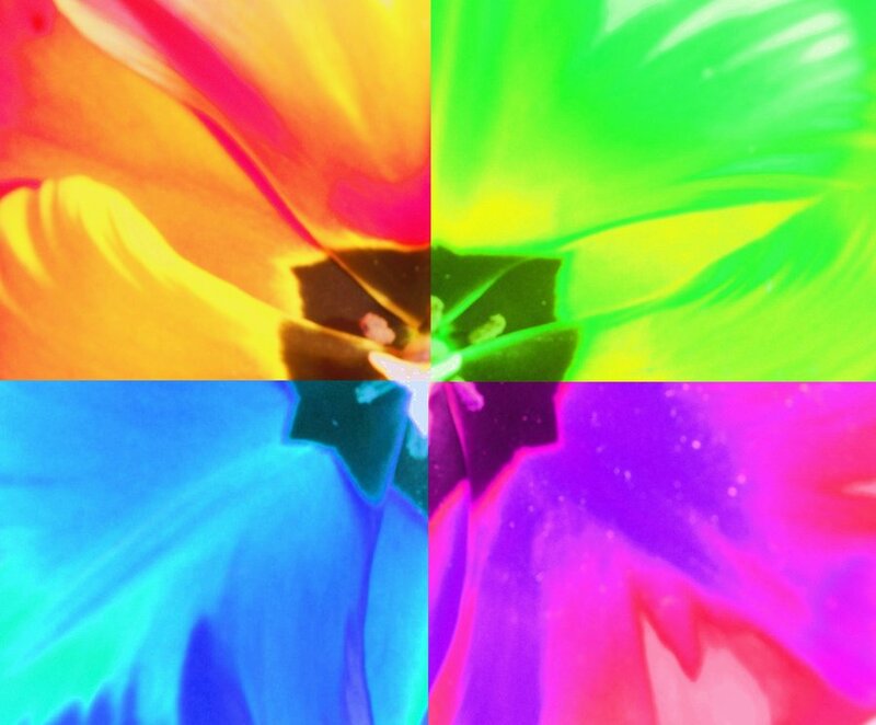 Colorful Flower Petals — Yellow