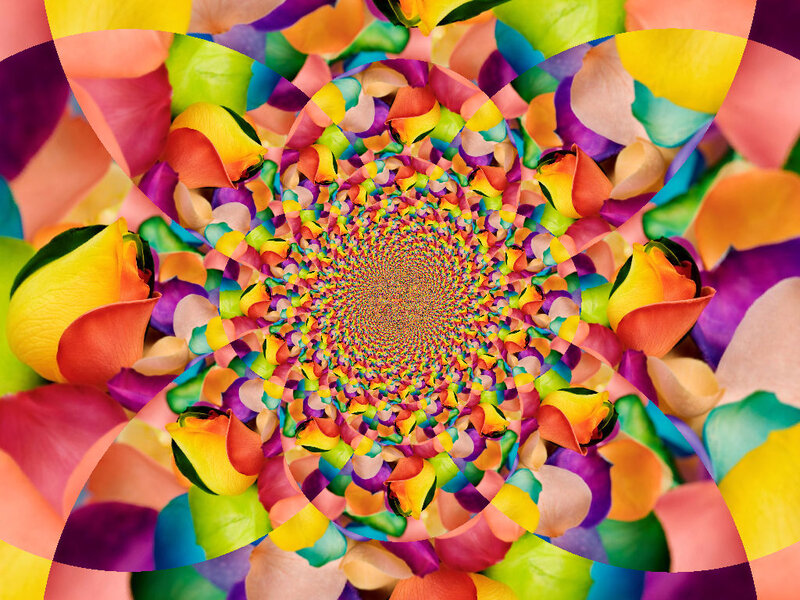 Colorful Flower Petals — Yellow, Vibrant