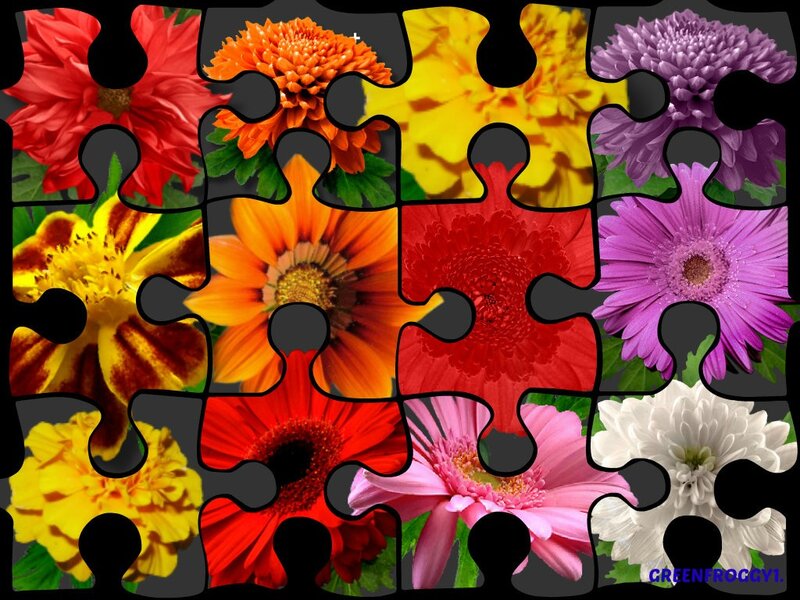 Colorful Flower Puzzle