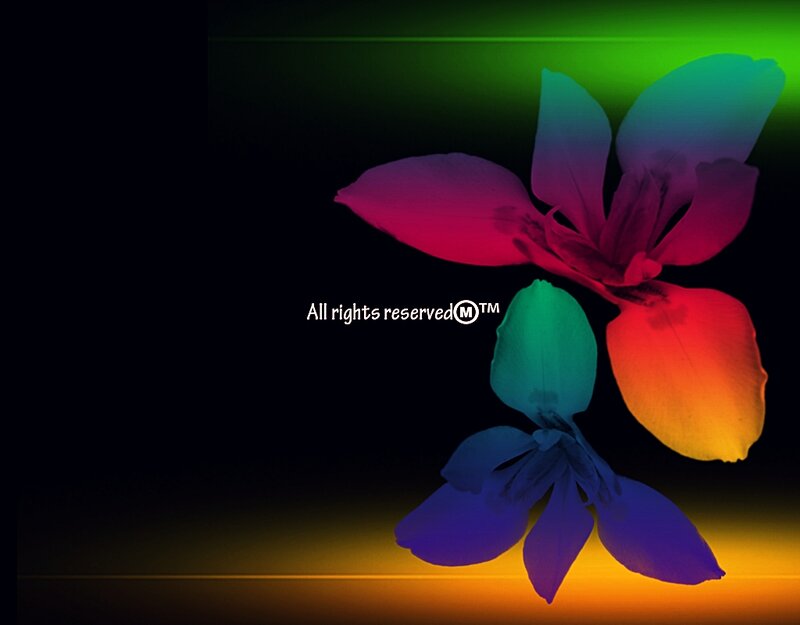 Colorful Flower Silhouette