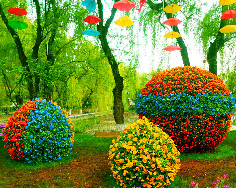 Colorful Flower Spheres