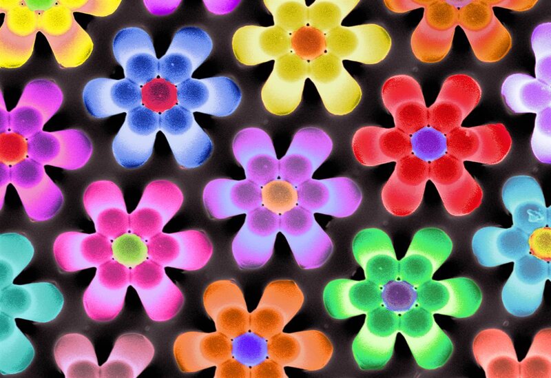 Colorful flower structures