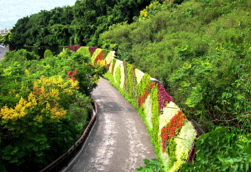 Colorful Flower Wall Path