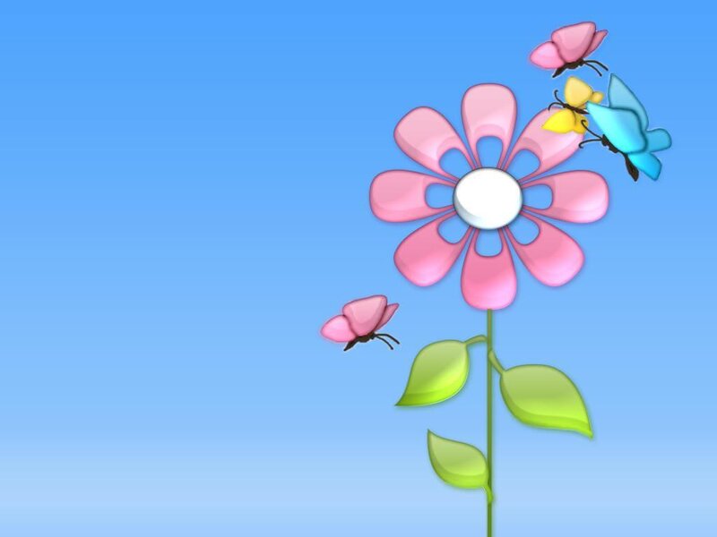 colorful flower with butterflies