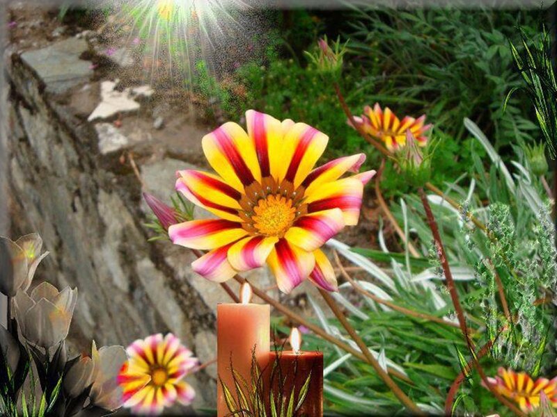 Colorful Flower with Candles