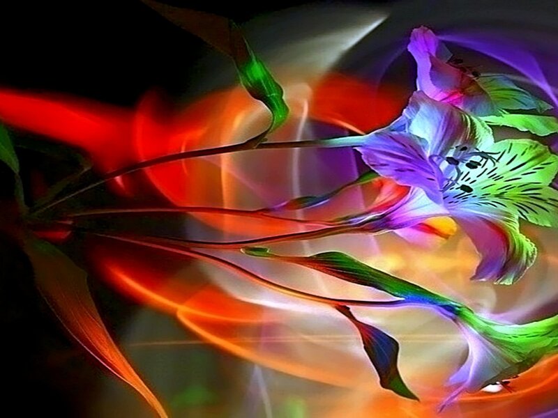 Colorful Flower with Light Trails — Purple