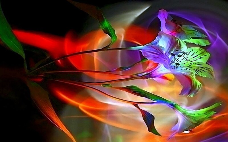 Colorful Flower with Light Trails