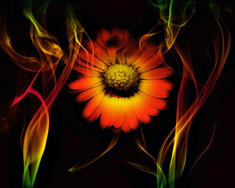 Colorful flower with smoke