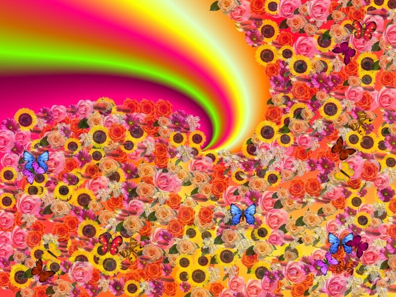 colorful flowers and butterflies