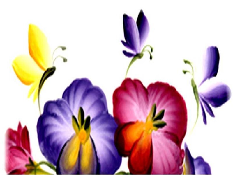 Colorful flowers and butterflies