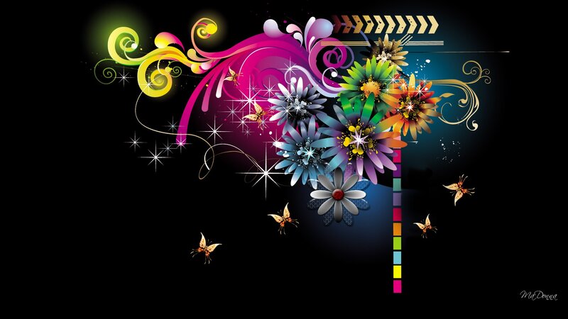 Colorful Flowers and Butterflies — Black, Vibrant, Night