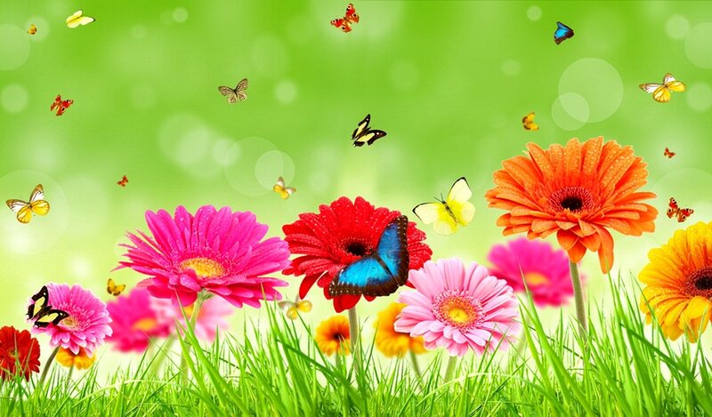 Colorful Flowers and Butterflies — Green, Cheerful, Spring, Digital Art