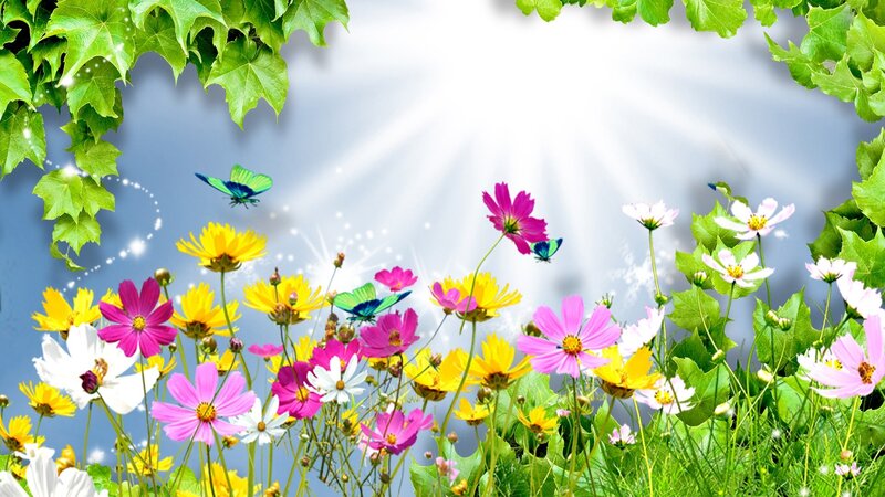 Colorful Flowers and Butterflies — Green