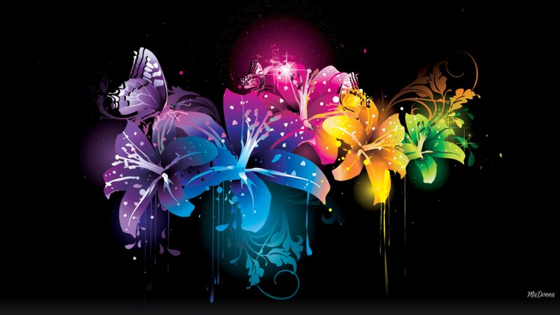 Colorful Flowers and Butterfly — Black