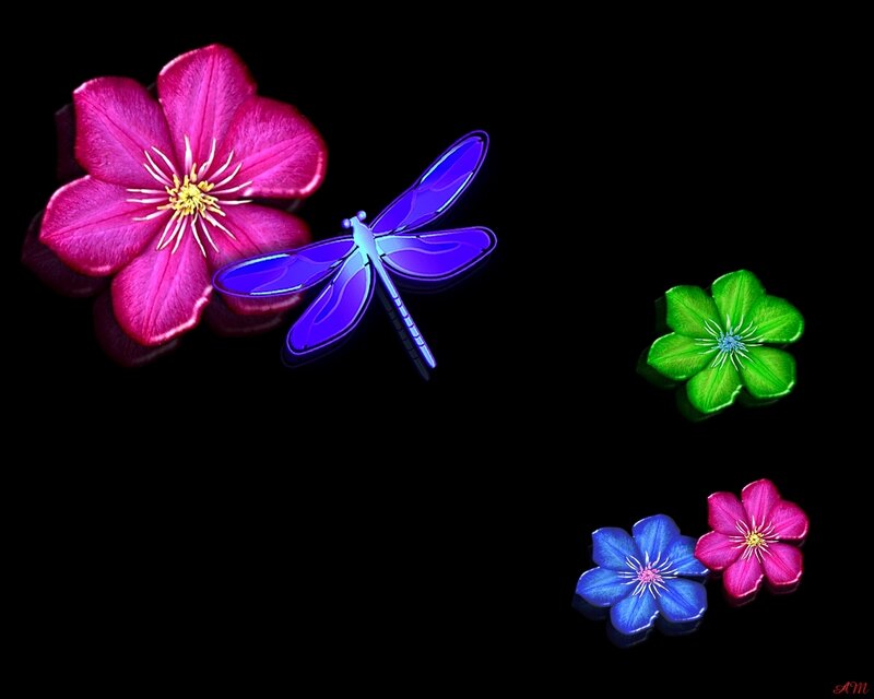 Colorful flowers and dragonfly