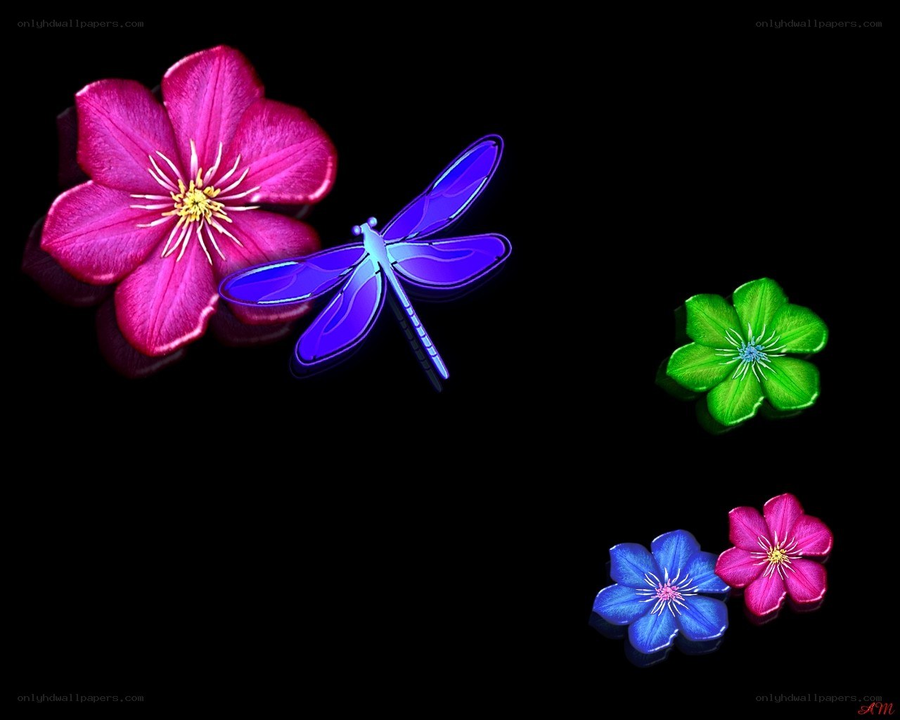 Colorful flowers and dragonfly