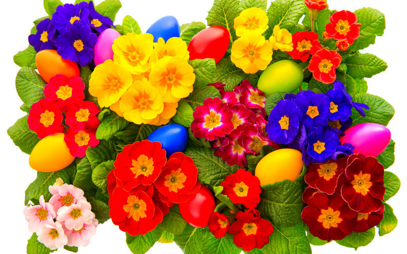 Colorful Flowers and Eggs