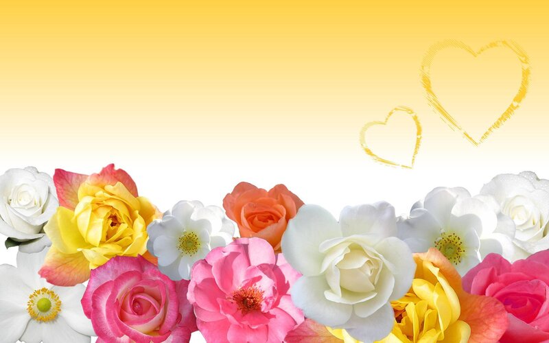 colorful flowers and hearts