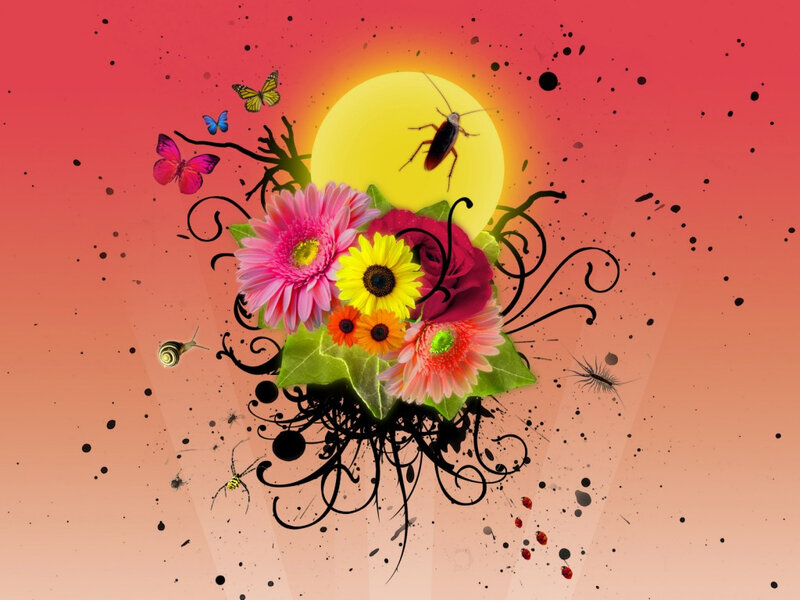 Colorful Flowers and Insects — Pink