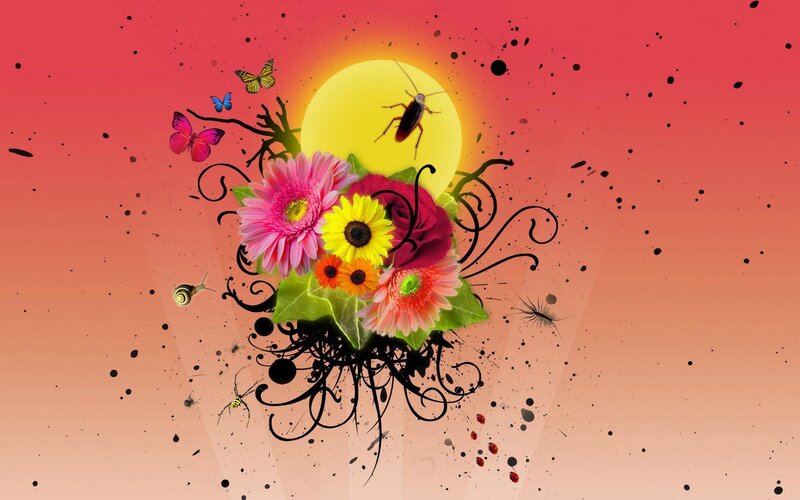 Colorful Flowers and Insects