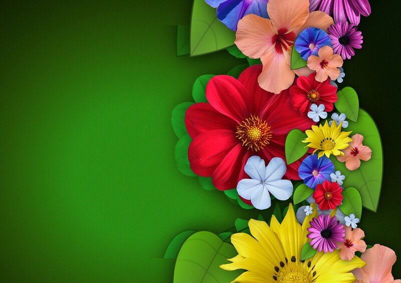 Colorful Flowers and Leaves — Green, Vibrant