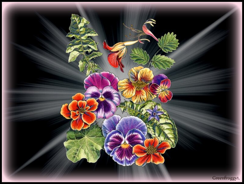 Colorful Flowers and Leaves — Purple, Dramatic
