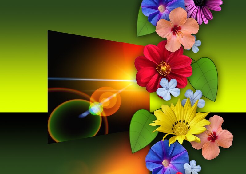 Colorful Flowers and Light — Green