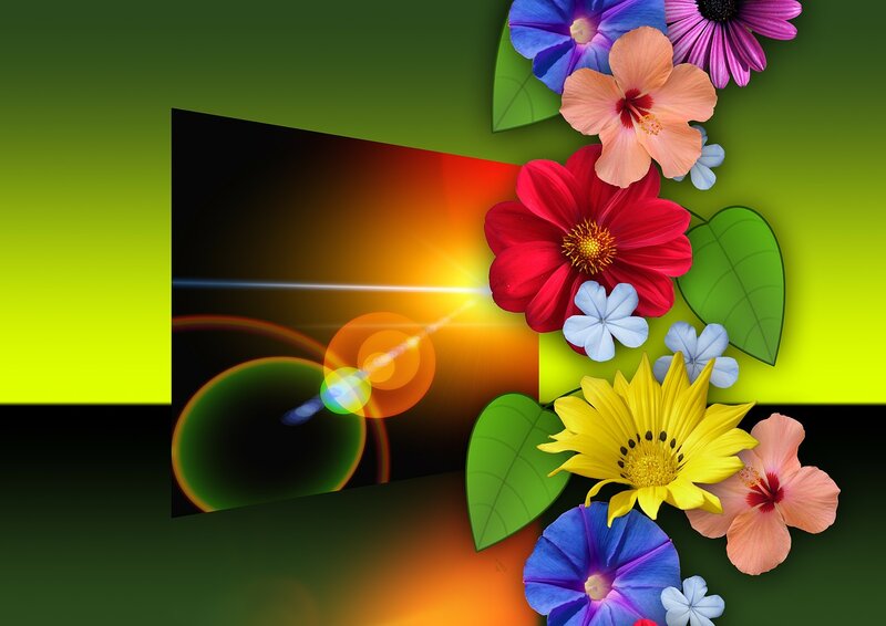 Colorful Flowers and Light