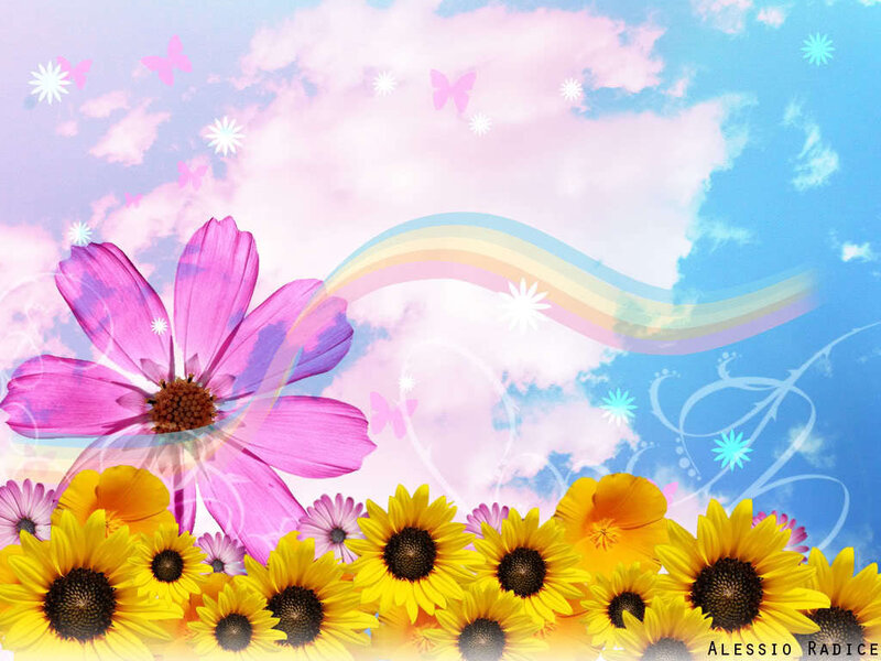 colorful flowers and rainbow sky