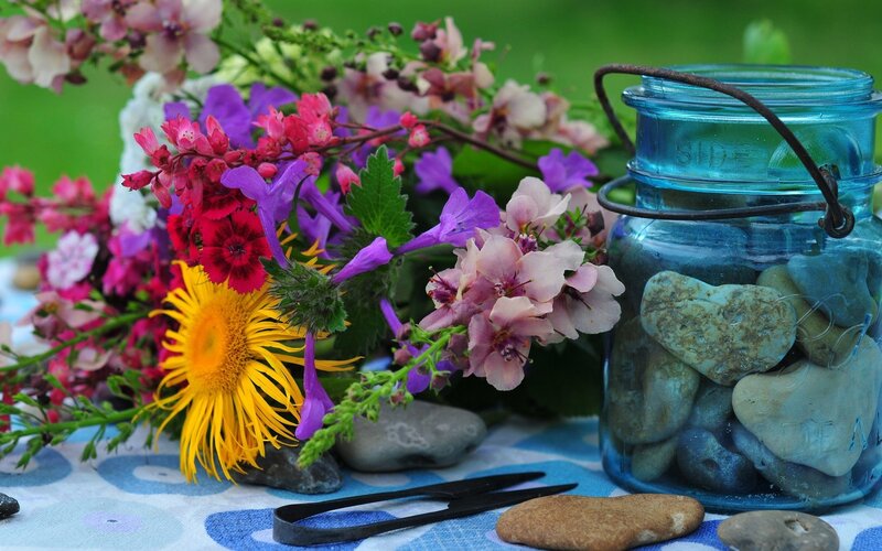 Colorful Flowers and Rocks