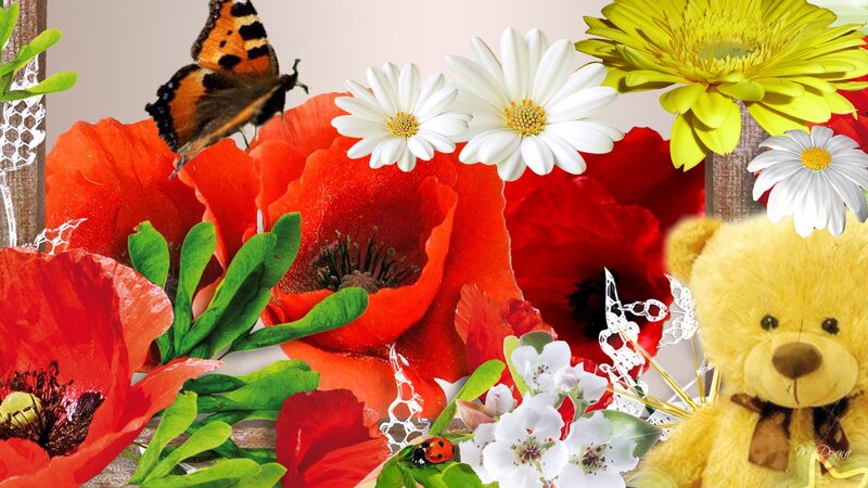 Colorful Flowers and Teddy Bear
