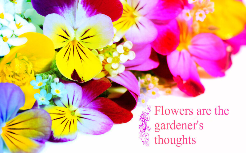 Colorful Flowers Bouquet