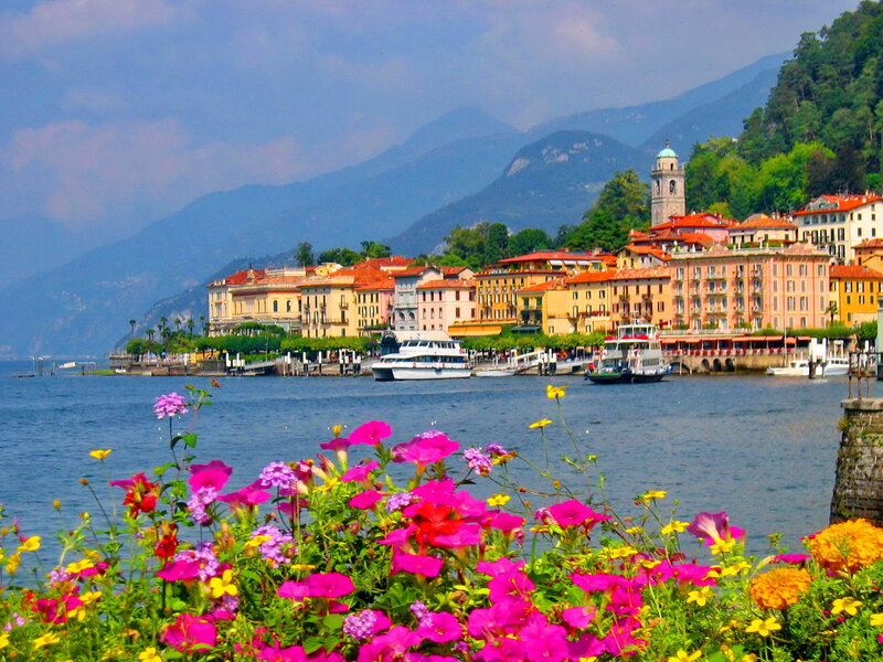 Colorful Flowers by Lake — Pink