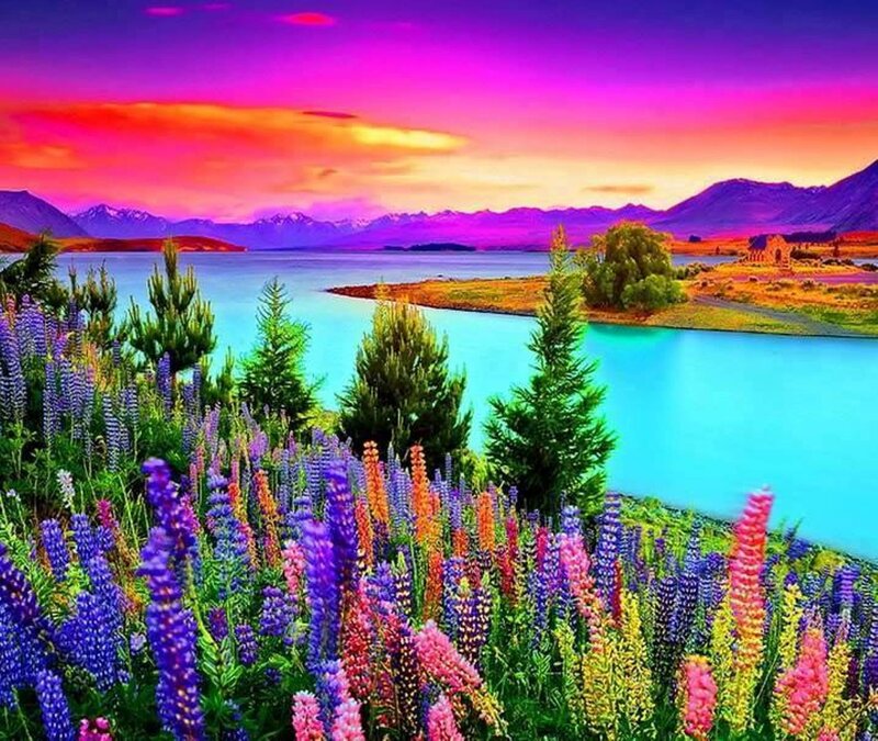 Colorful Flowers by Lake — Purple, Dramatic, Sunset