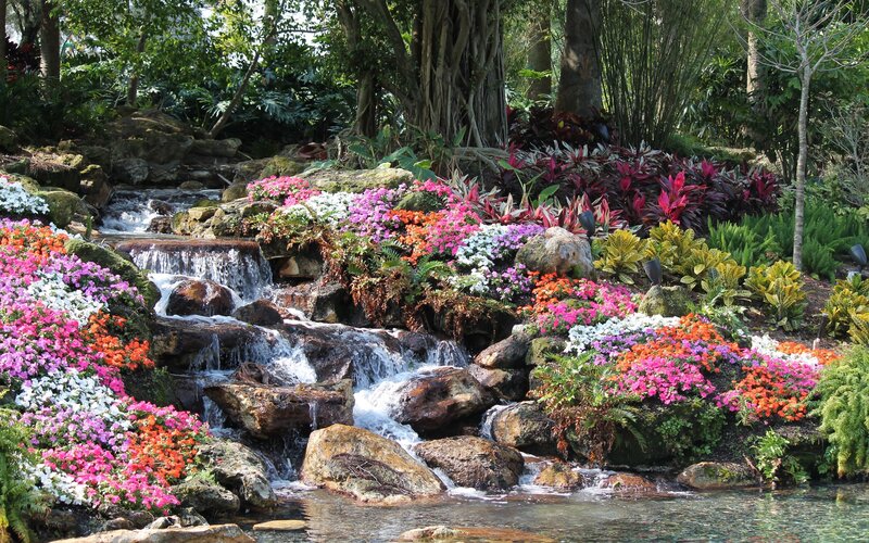 Colorful Flowers by Waterfall