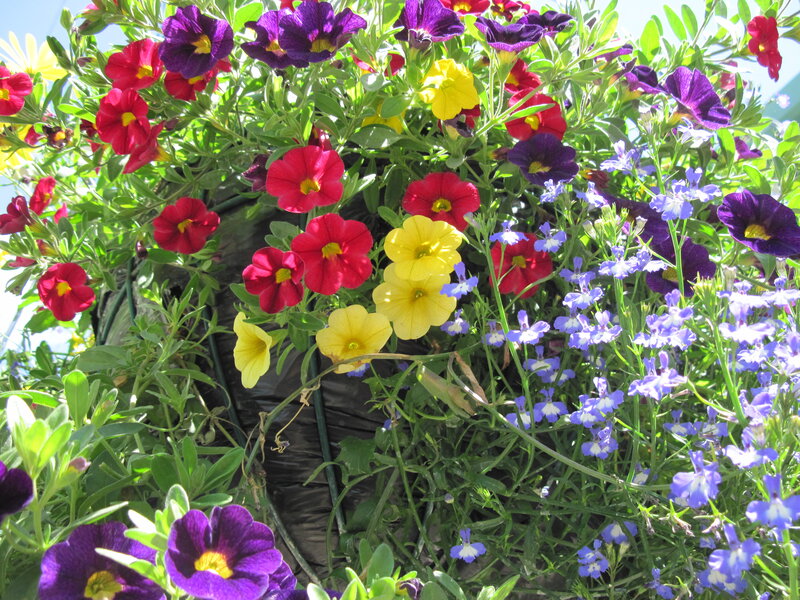 Colorful Flowers in a Basket — Red