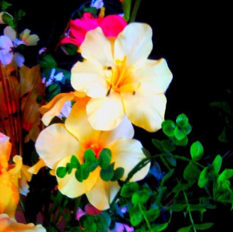 colorful flowers in a bouquet
