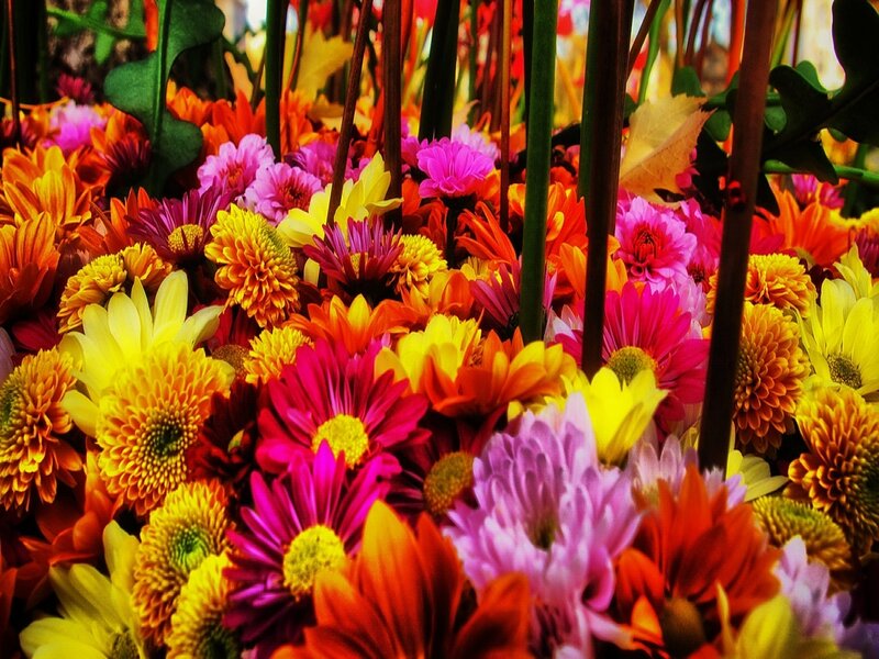 Colorful Flowers in a Bouquet — Yellow