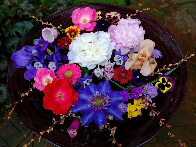 Colorful flowers in a bowl