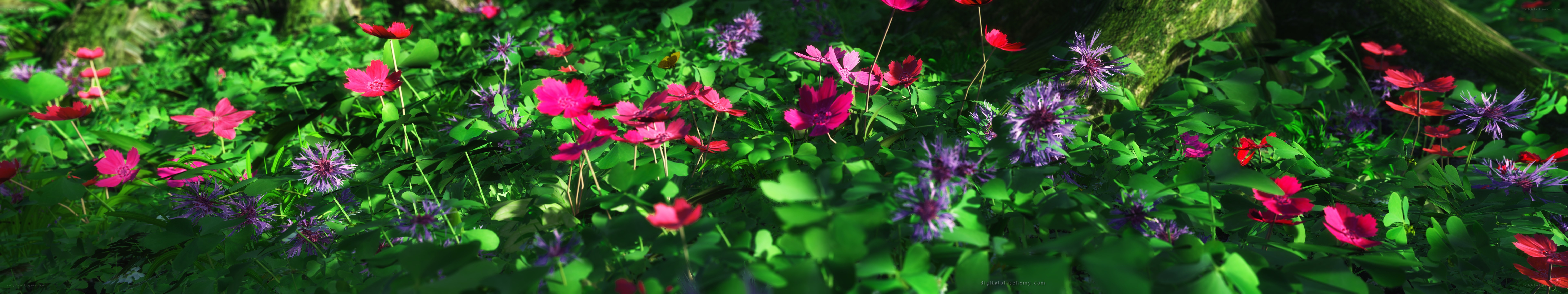 colorful flowers in a forest