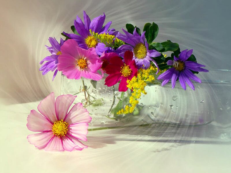Colorful flowers in a glass vase