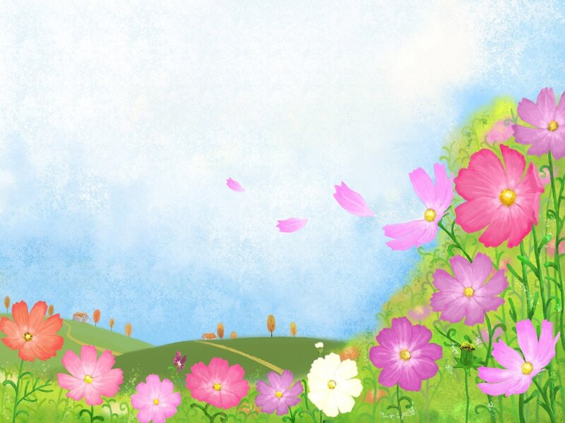 colorful flowers in a meadow