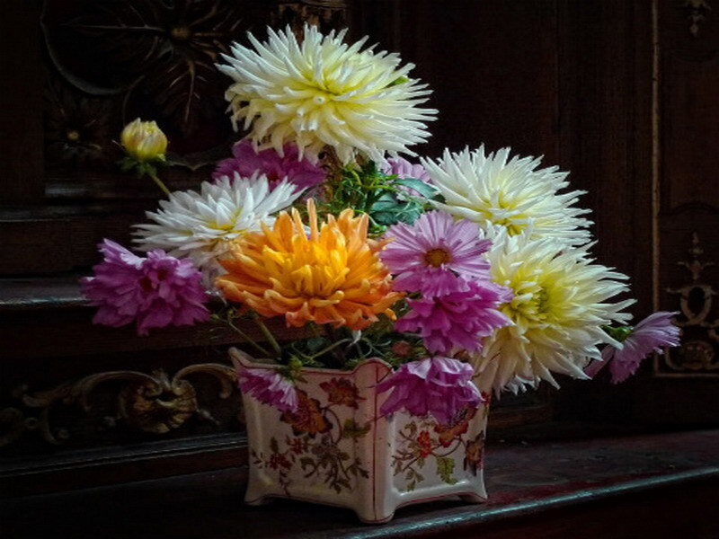Colorful flowers in a vase