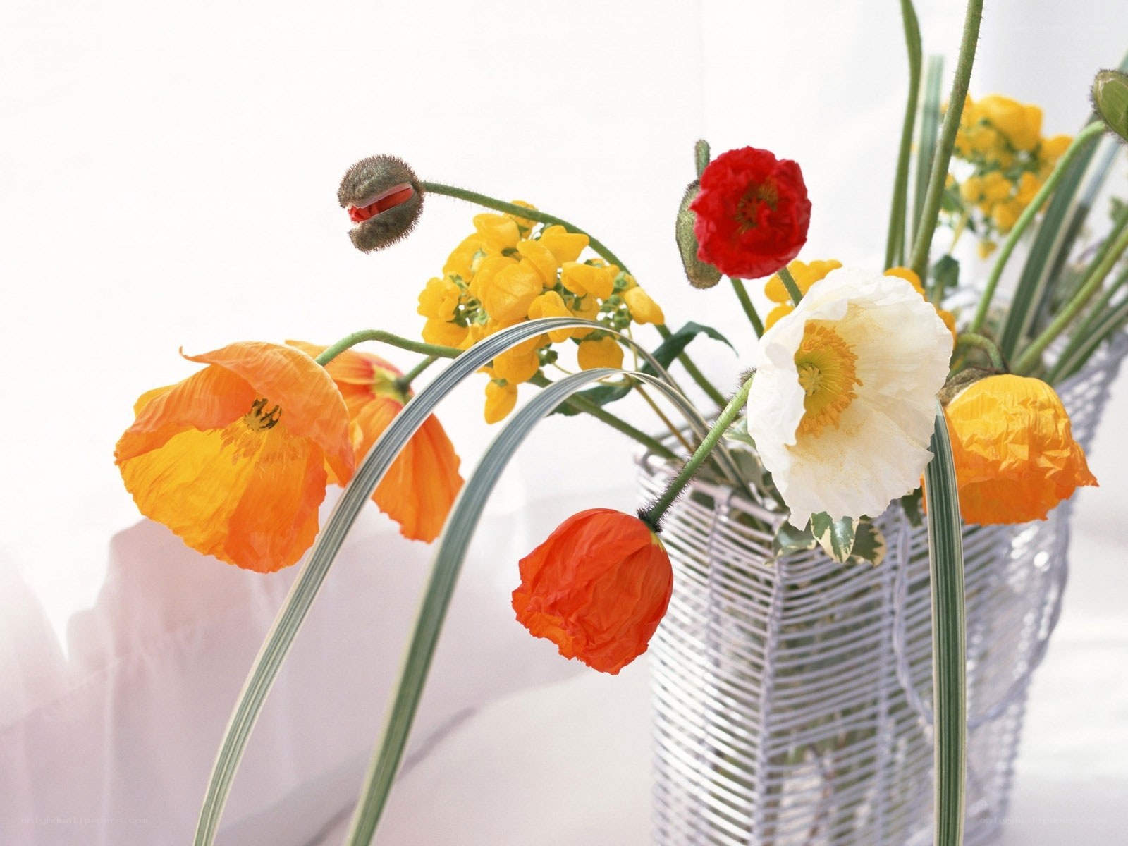 Colorful flowers in a vase