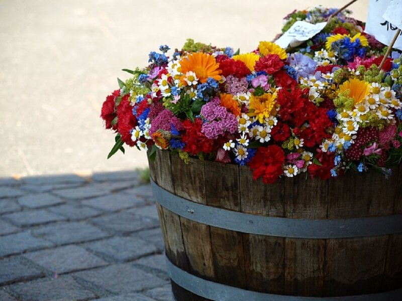 Colorful Flowers in Barrel — Red