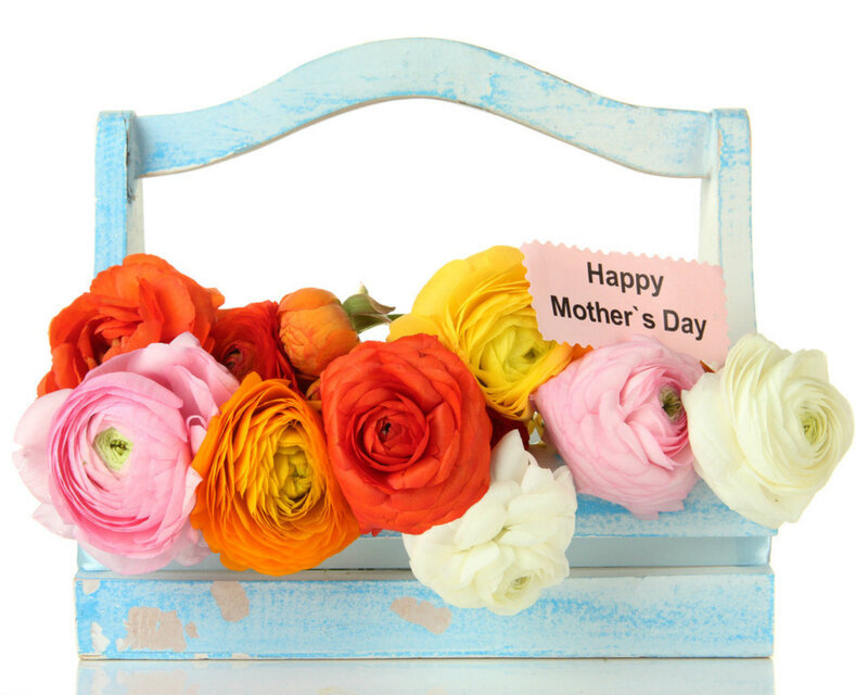 Colorful Flowers in Basket — Blue, Festive