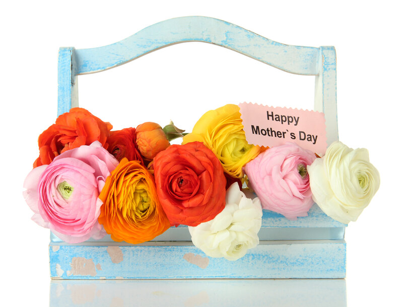 Colorful Flowers in Basket — Blue