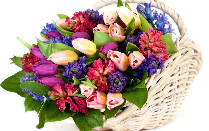 Colorful Flowers in Basket — Purple
